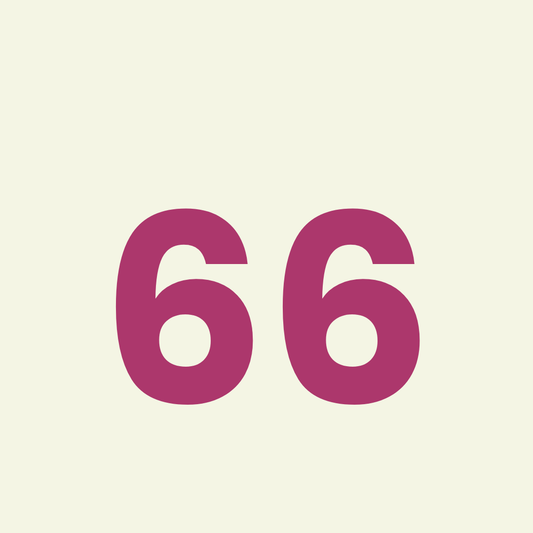 66e